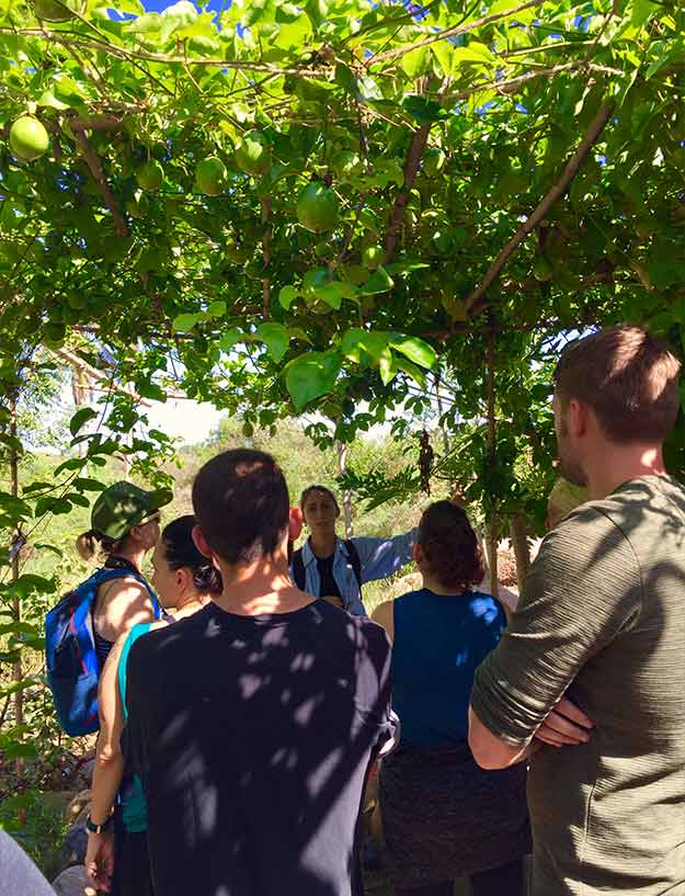 Permaculture Farm Tour