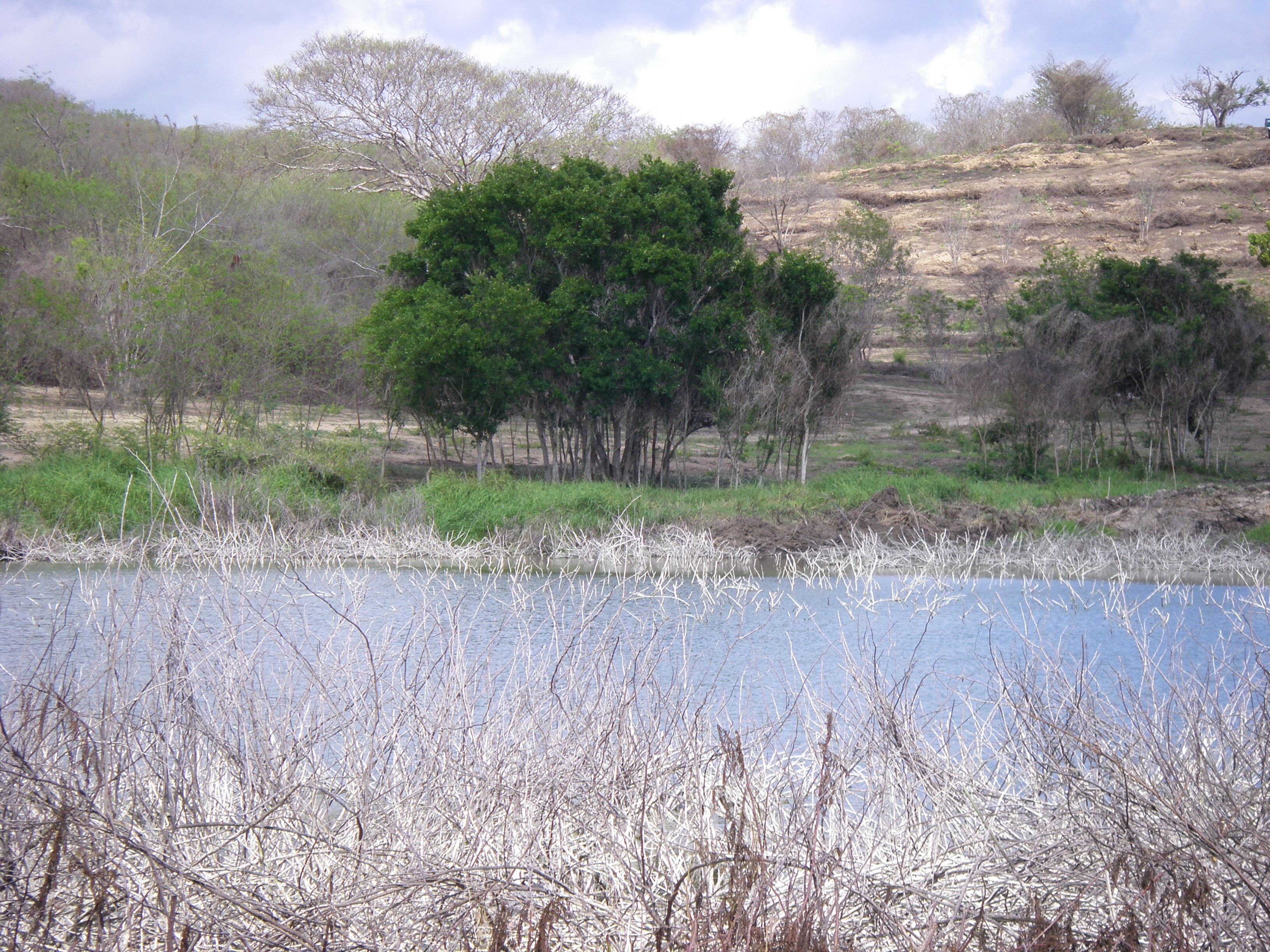 Aztec terraced gardens uncovered at Playa Viva!